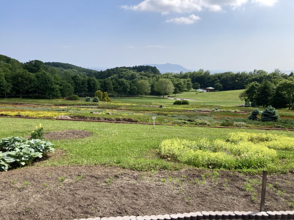 みんなde健幸レクin四季の杜公園